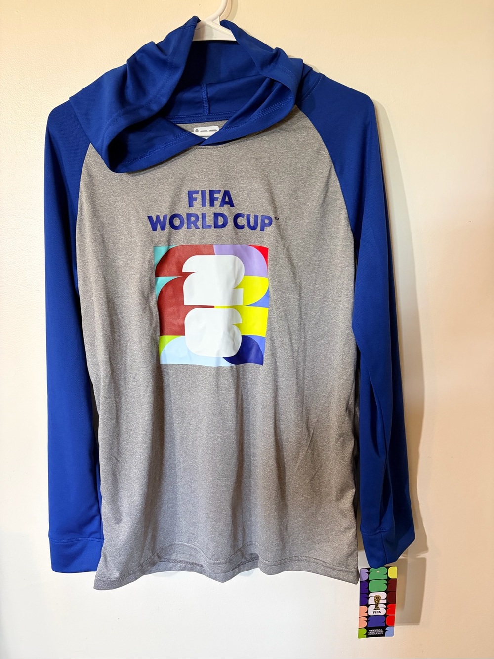 FIFA World Cup Boys' Gray & Blue Hooded Long Sleeve Top